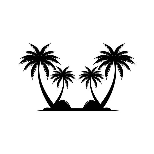 illustrazioni stock, clip art, cartoni animati e icone di tendenza di design del logo dell'albero di cocco, vettore della pianta della spiaggia, estate della palma, modello di illustrazione - scenics silhouette beach sun