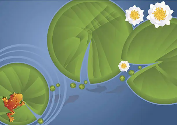 Vector illustration of Frog Waterlilies and Pads