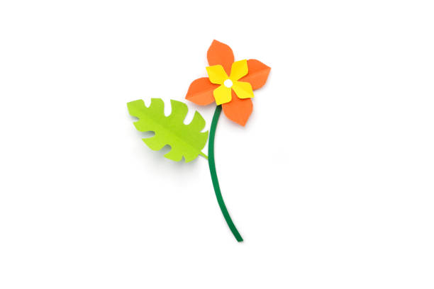 Flower made of paper cut isolate on white background. handcraft concept.