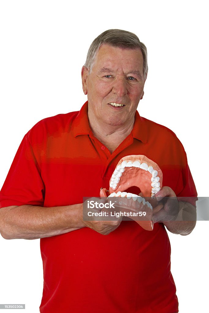 Senior with teeth model Friendly male senior present teeth model isolated on white background Adult Stock Photo