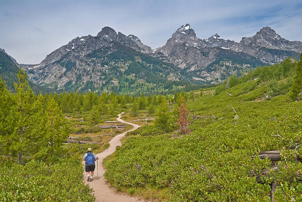 Mature Woman Hiking in the Tetons This woman is hiking along the trail to Bradley and Taggart Lakes in Grand Teton National Park, Wyoming, USA. The scenic Teton Range of mountains is in the distance. jeff goulden mountain stock pictures, royalty-free photos & images