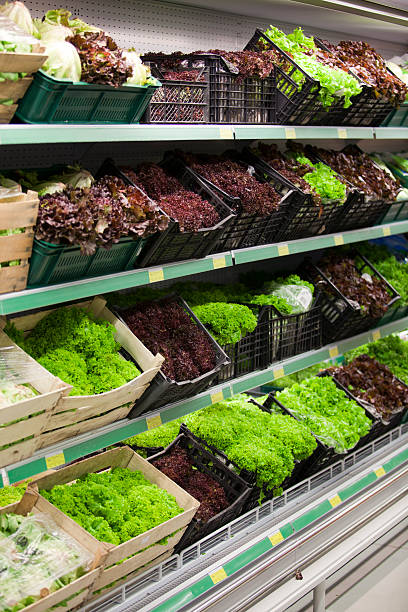 istock Lettuce section in a grocery store 153502990