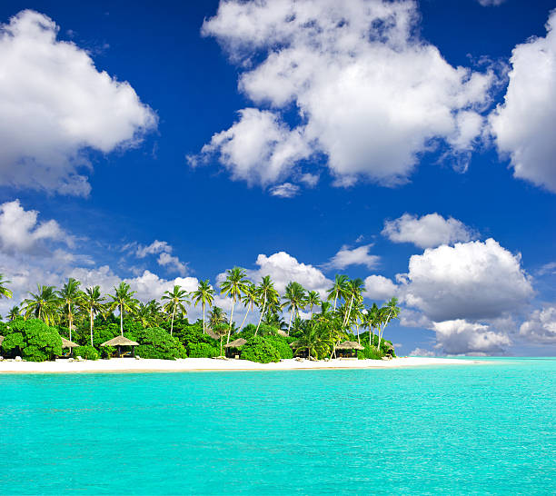 istock tropical beach with palm trees over blue cloudy sky 153503509
