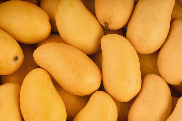 Fresh mangoes stock photo