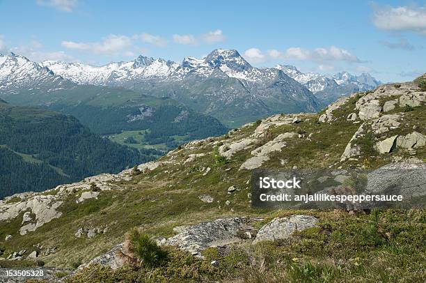 Paisagem Alpina Suíça - Fotografias de stock e mais imagens de Alpes Europeus - Alpes Europeus, Alpes de Engadine, Ao Ar Livre