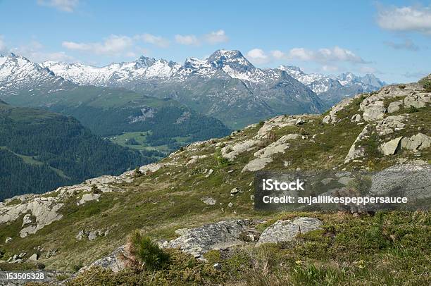 Альпийский Пейзаж — стоковые фотографии и другие картинки Без людей - Без людей, Величественный, Время года