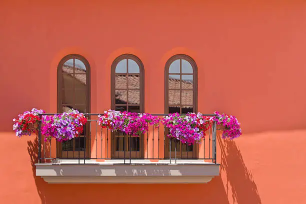 Photo of balcony with petunia flower