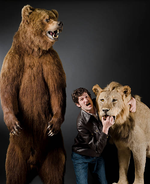 istock Young Man Fighting a Lion and Bear 153505659