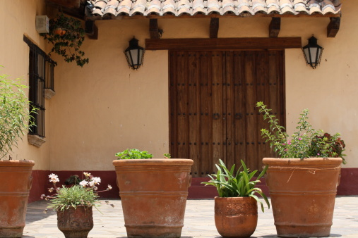 Big wooden door with traditional plant pots on the front