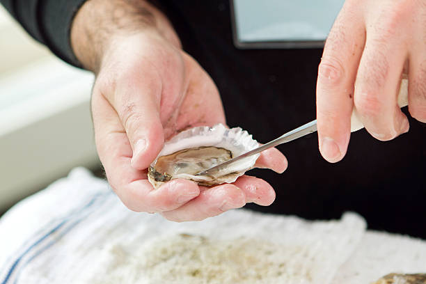 カキの殻開け - prepared oysters prepared shellfish shucked seafood ストックフォトと画像