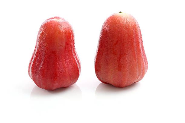 istock Thai fruit Rose apple isolated in white background 153509894
