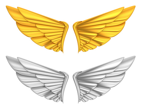 golden and sliver wing.