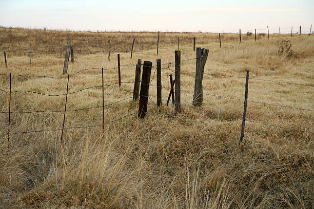 istock Farm fence and dry pasture 153510286
