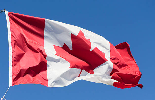 istock Canadian Flag flying in the Wind 153510500