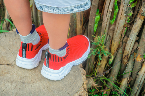 Legs of a curious child in red sneakers standing on a wooden stump near wooden wicker fence