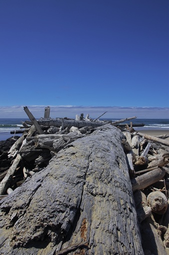 View down bleached logs, piled up to break waves at the entrance to a bay, with a clear blue sky in the distance. Taken on the beach in Nehalem Bay State Park, a public park that includes a long stretch of beach facing the pacific ocean in Manzanita, OR.