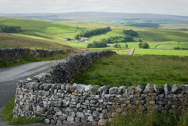 istock drystone wall in the dales 153515887