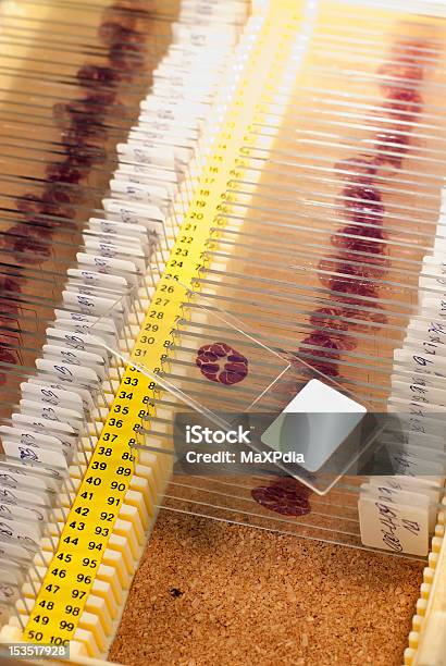 Arrangiert Histopathology Slipper In Behälter Stockfoto und mehr Bilder von Arrangieren - Arrangieren, Behälter, Etikett