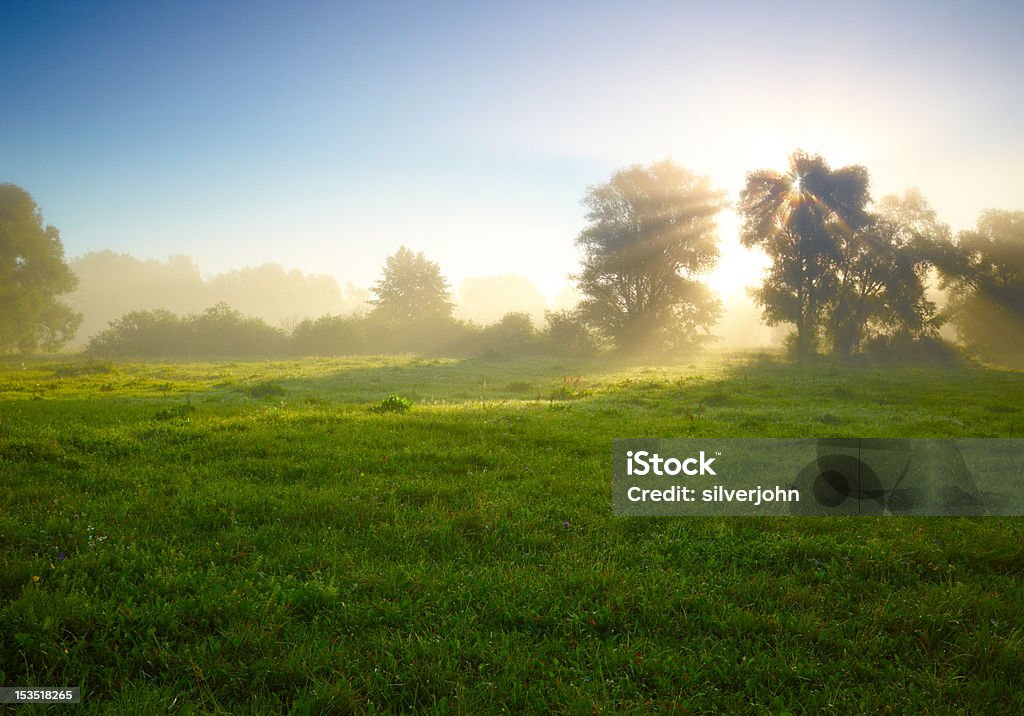 Foggy medow at susrise Agricultural Field Stock Photo