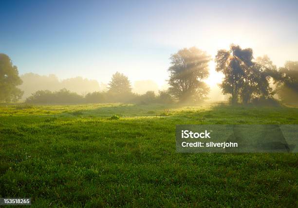 Foggy Medow At Susrise Stock Photo - Download Image Now - Agricultural Field, Branch - Plant Part, Bright
