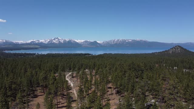 Forrest Trees Blue Sky and Aerial Reveal of Lake Tahoe with  Mountain Range and Forest Landscape