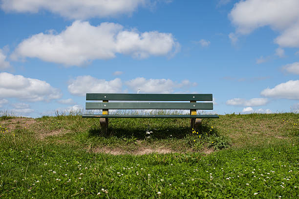 Empty bench on the lawn