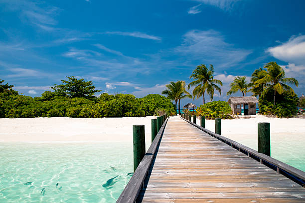 istock jetty to a tropical beach 153519654