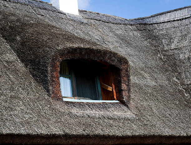 istock Thatched house detail 153520010