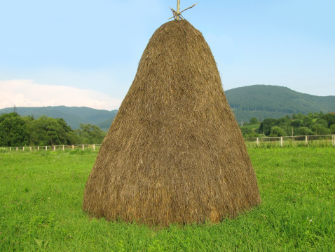 big haystack on green field