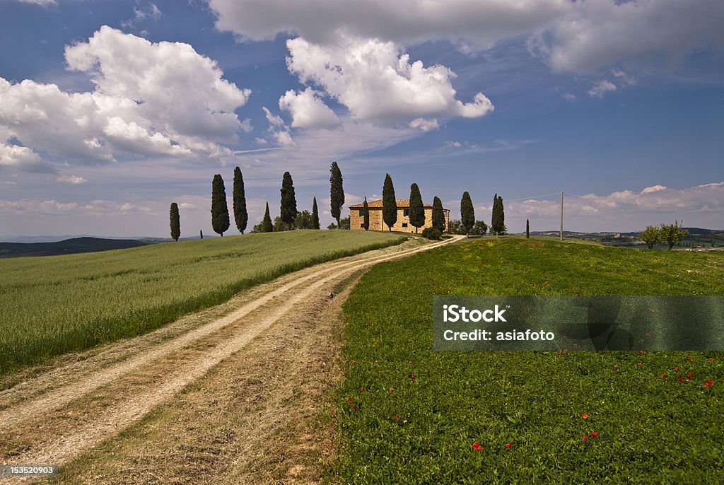 Val d'Orcia, Toscana fazenda - Foto de stock de Agricultura royalty-free