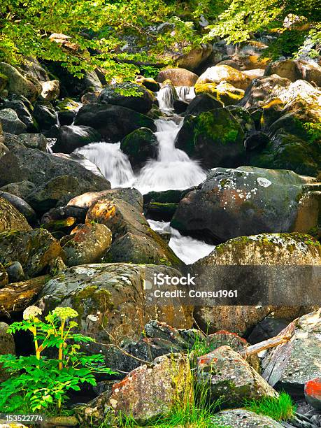 Pequeña Catarata Foto de stock y más banco de imágenes de Agua - Agua, Agua subterránea, Aire libre