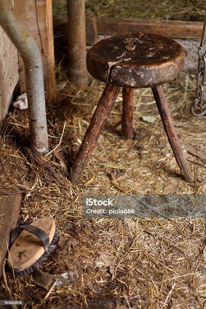 Грязь и старый Доить кала в Cowshed - Стоковые фото Ко�ровник роялти-фри