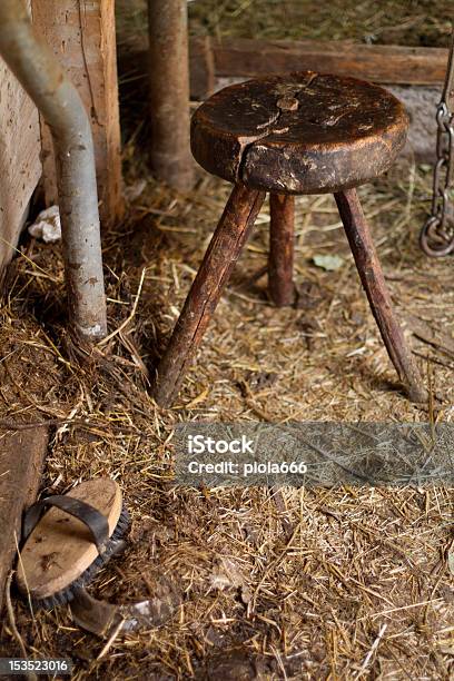 Грязь И Старый Доить Кала В Cowshed — стоковые фотографии и другие картинки Коровник - Коровник, Вертикальный, Грязный