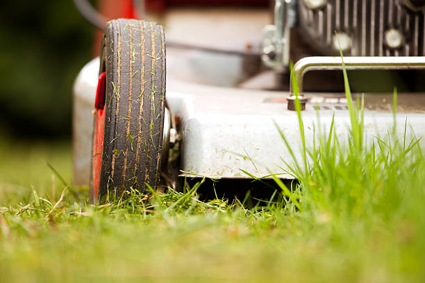 istock lawn-mower outdoor 153524856