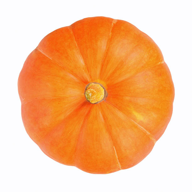 istock Perfect pumpkin from above on white background 153525341