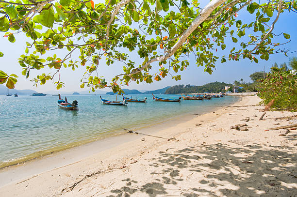 istock Beach and tropical sea with long-tail boat in thailand 153525515