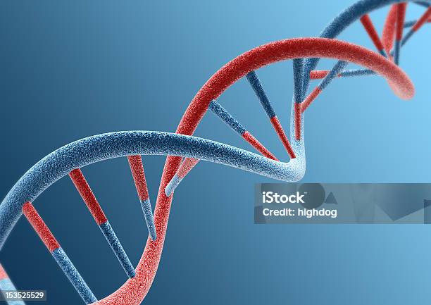 Dnastränge Stockfoto und mehr Bilder von DNA - DNA, Helix, Biologie