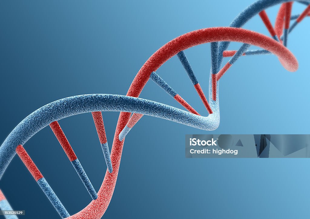 DNA strands - Foto de stock de DNA royalty-free