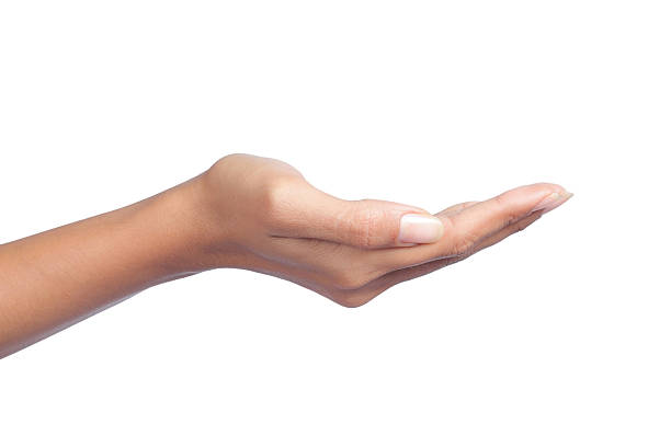 istock gesture of womans open hand 153525617