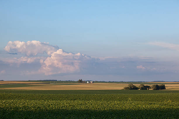 istock Iowa Farmland and Thunderheads 153528048