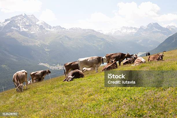 Krowa Mountain W Alpach - zdjęcia stockowe i więcej obrazów Alpy - Alpy, Alpy Szwajcarskie, Bez ludzi