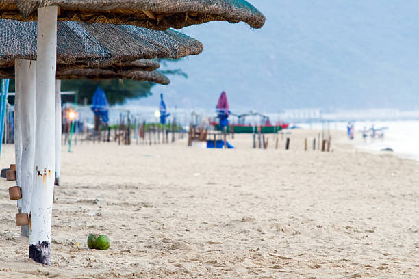 istock Sandy beach early in the morning 153528761