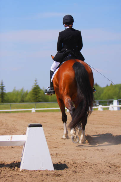 istock Horse & rider entering the competition ring 153528873