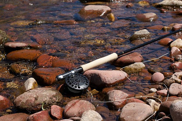 Fly Fishing Rod on rocks stock photo