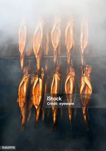 Smoking Rainbow Trout Stock Photo - Download Image Now - Cultures, Fish, Food