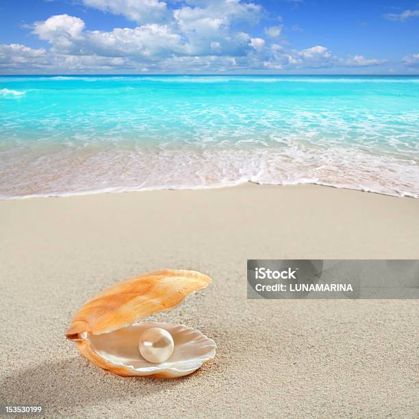 Perla Dei Caraibi Sulla Tropicale Spiaggia Di Sabbia Bianca Conchiglia - Fotografie stock e altre immagini di Perla - Ostrica