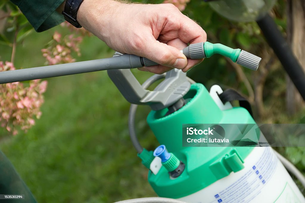男性の手に sprayer を、肥料を�入れる - 殺虫剤のロイヤリティフリーストックフォト