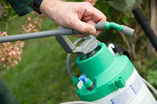istock man's hand with a sprayer to fertilize 153530294
