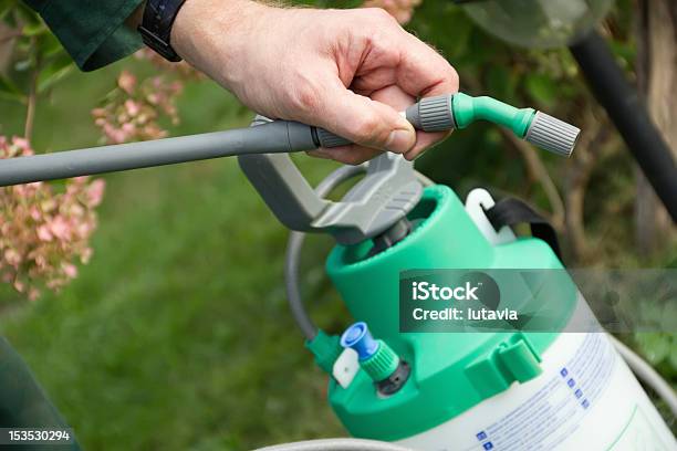 Mans Hand With A Sprayer Для Fertilize — стоковые фотографии и другие картинки Бутылка - Бутылка, Средство от насекомых, Дезинфекция