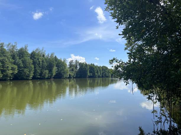 istock river in country Thailand 1535307194